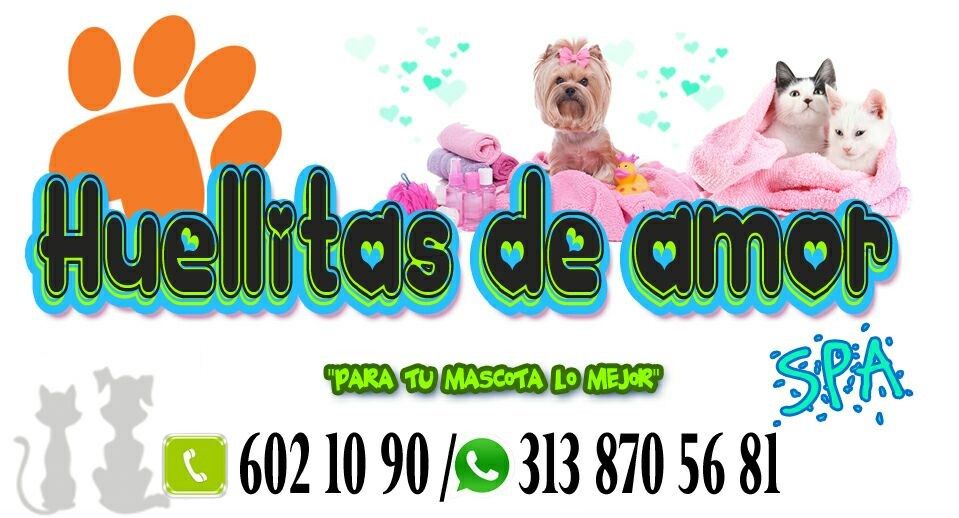 Text and image block